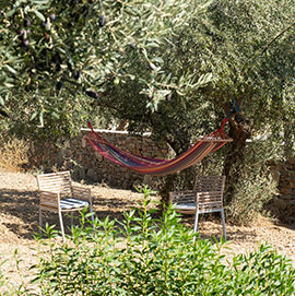 The garden with hammocks in Margarita's rooms